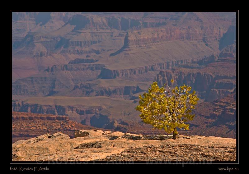 Colorado River 038.jpg